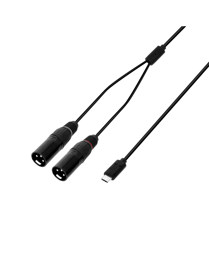 Adam Hall 3 STAR Y MM USB-C Kabel USB-C Y 2 x XLR 3 pin męski na USB-C | różne długości