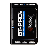 RADIAL BT-Pro V2 Odbiornik BlueTooth bezprzewodowy stereo