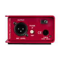 RADIAL JDX-48 Di-box wzmacniacz gitarowy