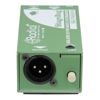 RADIAL StageBug SB-2 Di-box pasywny