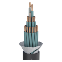 SOMMER CABLE ELEPHANT SPM2440 Przewód 24 x 4,00 mm2; PVC 26,00 mm czarny